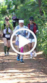 BIB:  <button type="button" onclick="openModal(26568713)" class="btn btn-primary btn-sm float-right" data-toggle="modal" data-target=".modal-high-quality">
                <i class="fa fa-download"></i> Download
                </button>